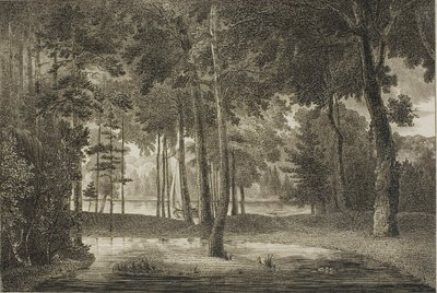 Utsikt fra Elysian Bower av William Birch