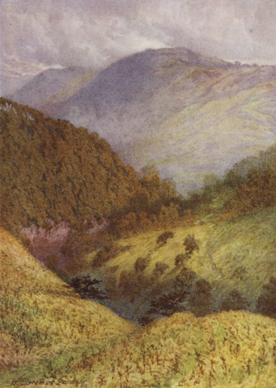 Ser nedover Chee Dale, High Tor i det fjerne av William Biscombe Gardner