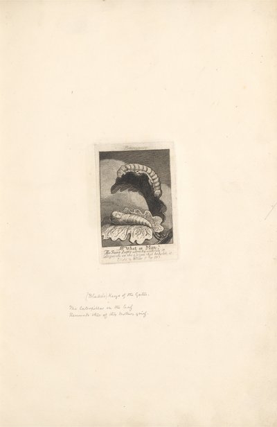 For kjønnene - The Gates of Paradise, Plate 1, Tittelside av William Blake