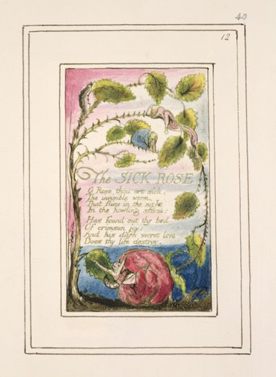 P.124-1950.pt40 The Sick Rose: plate 40 fra 