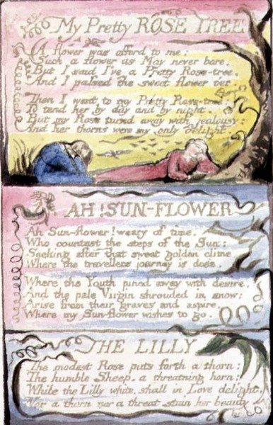 S.124-1950.pt44 My Pretty Rose Tree; Ah! Solsikke; The Lilly: plate 44 fra 