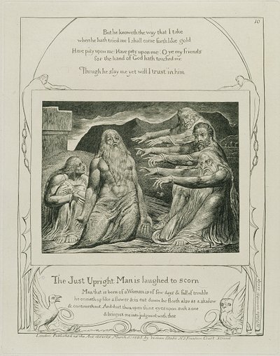 Plate 14, fra 