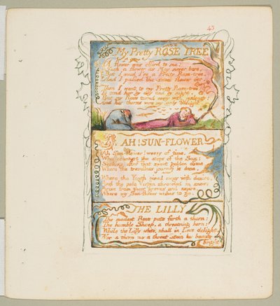 Sanger om uskyld og om erfaring: My Pretty Rose Tree, Ah! Solblomst, liljen, ca. 1825. av William Blake