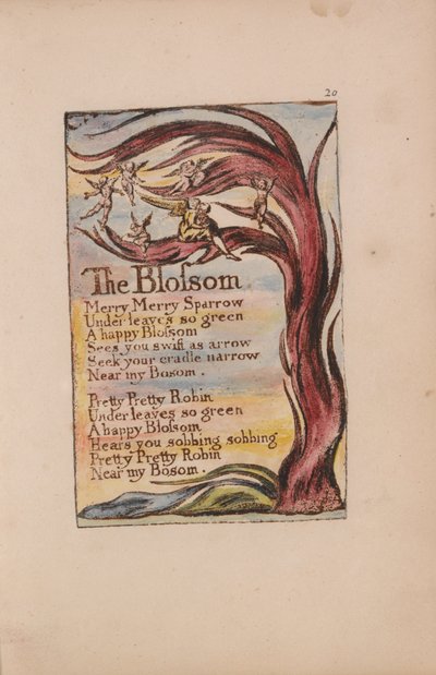 Songs of Innocence and of Experience, Plate 20, The Blossom (Bentley 11) av William Blake