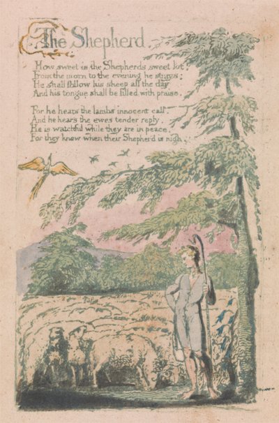 Songs of Innocence and of Experience, plate 4, "The Shepherd" (Bentley 5) av William Blake