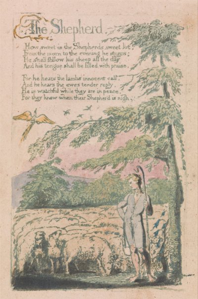 Songs of Innocence and of Experience, Plate 4, The Shepherd (Bentley 5) av William Blake