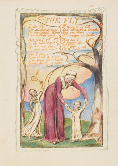 Songs of Innocence and Experience: The Fly, ca. 1825. av William Blake