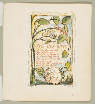 Sanger om uskyld og om erfaring: Den syke rosen, ca. 1825. av William Blake