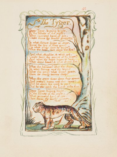 Songs of Innocence and of Experience: Tygeren, ca. 1825 (brunt blekk-etsing håndfarget i akvarell) av William Blake