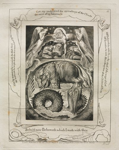 Jobs bok: Pl. 15, Se nå Behemoth som jeg laget med deg av William Blake