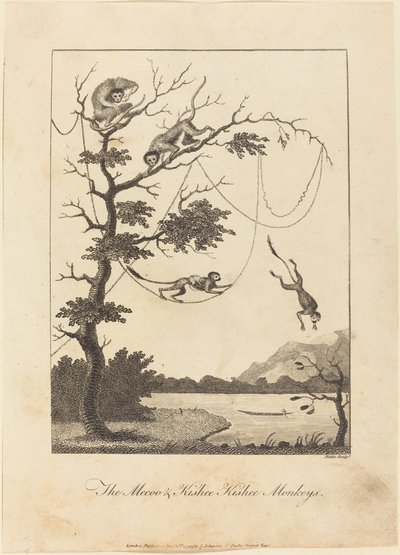 The Mecoo & Kisbee Kishee Monkeys, 1793. av William Blake