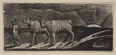 Unyokd Heifers, Loitering Homeward, fra Thorntons Pastorals of Virgil, 1821. av William Blake
