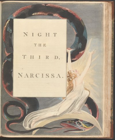 Young's Night Thoughts, side 43, "Natt den tredje, Narcissa." av William Blake
