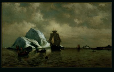  av William Bradford
