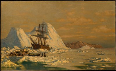  av William Bradford