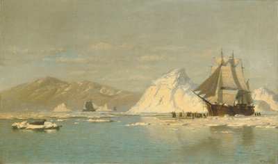  av William Bradford