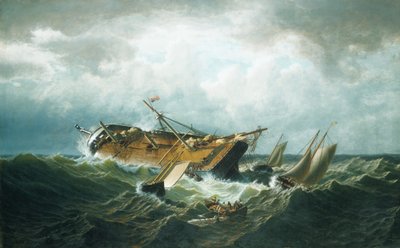  av William Bradford