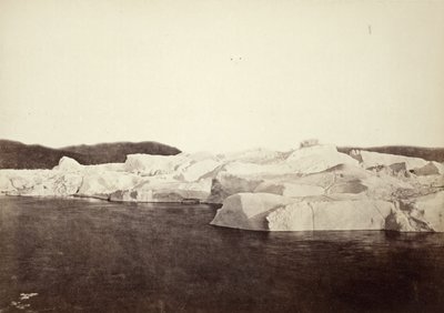  av William Bradford