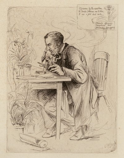  av William Brassey (after) Hole