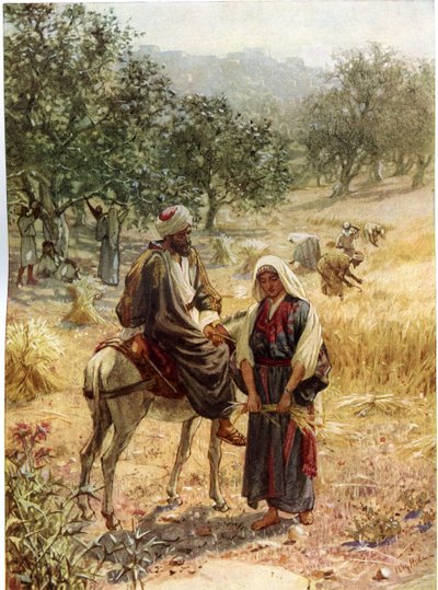 Boas og Rut - Bibelen av William Brassey Hole