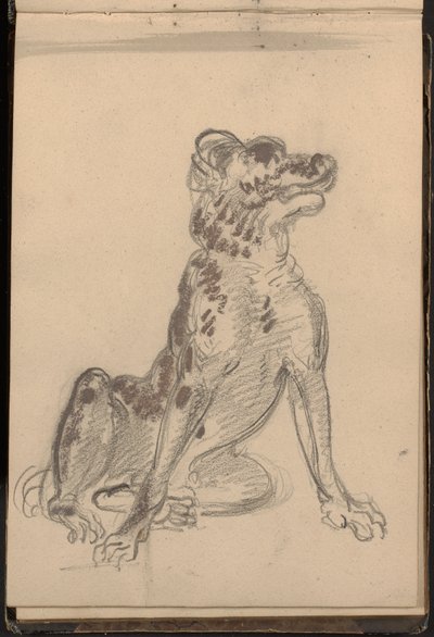 Portrett av en hund av William Brockedon