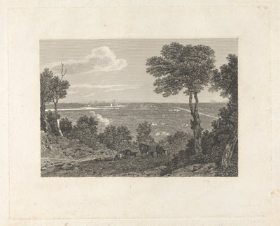 Fjernsyn over Chester av William Byrne