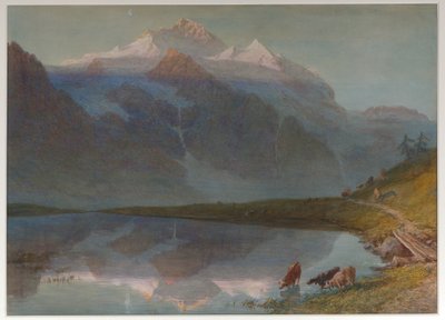 av William Collingwood
