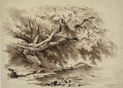 Landskap med trær som henger over en innsjø av William Collingwood Smith