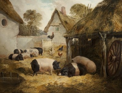 Hytte gjestfrihet av William Collins