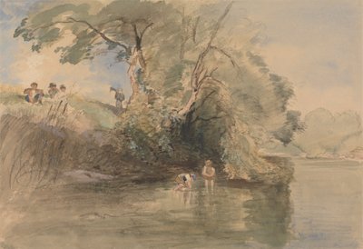 Padling av William Collins