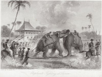 Elefanter som kjemper ved Lucknow av William Daniell