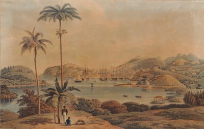 Utsikt over byen St. George og Richmond Heights på øya Grenada, tatt fra bukten av oberstløytnant Wilson, 1819 av William Daniell