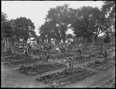 Barn som jobber i skolehagen i Isham Park, New York City, 5. august 1914 av William Davis Hassler
