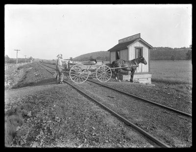 Uidentifisert mann laster melk på hestevogn parkert over jernbanespor utenfor McCready-gården, Pennsylvania, ca. 1913 av William Davis Hassler