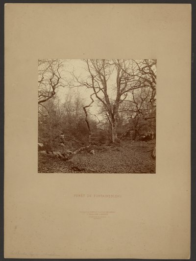  av William Drooke Harrison
