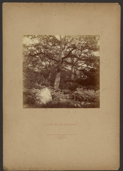  av William Drooke Harrison