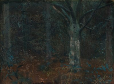Gamle Sycamore av William Edward Stott