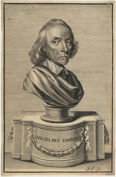 William Harvey, M.D. av William Faithorne