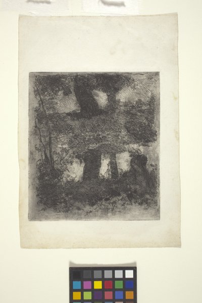 Landskap med faun og basseng (reflektert landskap) (etsing) av William Forsyth