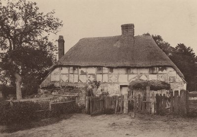 Nær Fittleworth, West Sussex (s/h-bilde) av William Galsworthy Davie