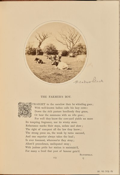  av William Grundy