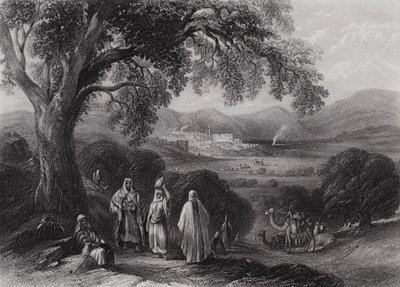 Vale of Nazareth (gravering) av William H. Bartlett