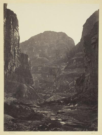 Cañon of Kanab Wash, Colorado River, Looking South, 1872. av William H. Bell