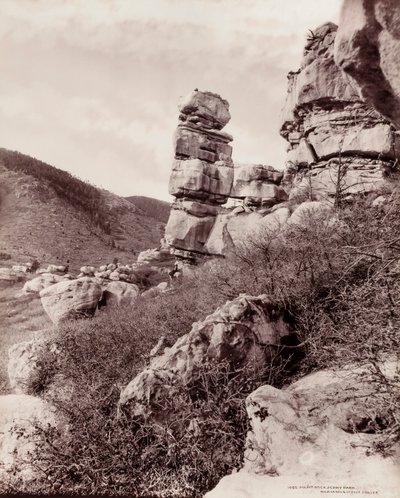  av William H. Jackson