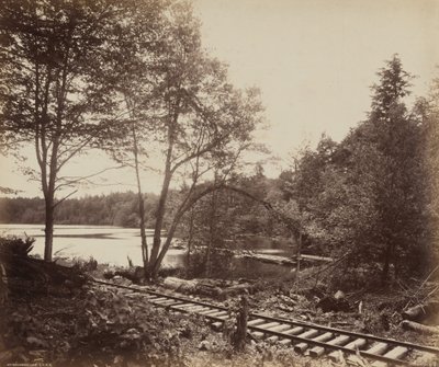 Beechwood Lake av William H. Rau