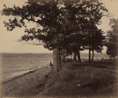 Cayuga Lake, Sheldrake av William H. Rau