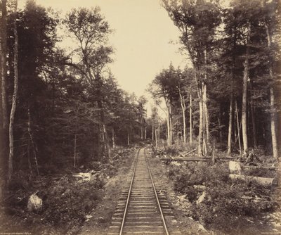 Ganoga Lake Branch av William H. Rau