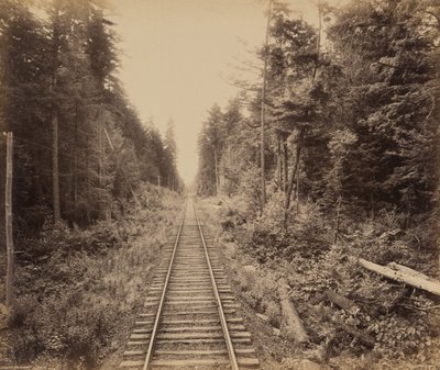 Hemlock Forest av William H. Rau