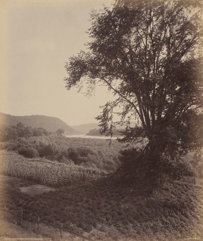 Pittoreske Susquehanna, nær Laceyville av William H. Rau