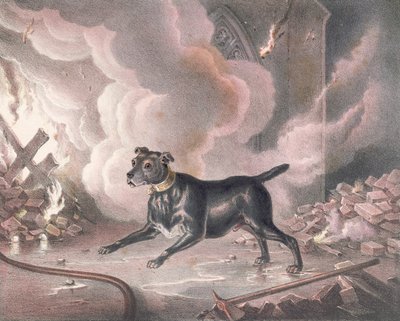London brannmannens hund av William Heath